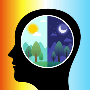 500x500-02 500x500-02