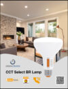 CCT Select BR Lamp Leaflet