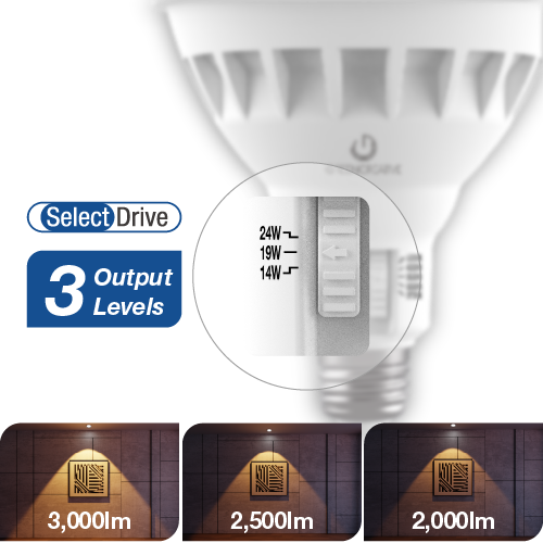 CCT and Power Select PAR38 HO_2